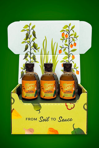 Campfire Espresso Premium BBQ Sauce - 3 Pack