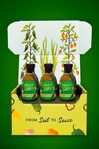 Smoked Jalapeño + Charred Pineapple Everything Sauce - 3 Pack